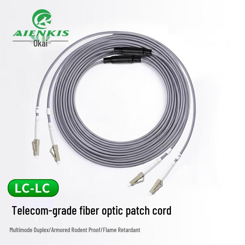 AIENKIS Armored OM2 Multimode Fiber Optic Patch Cable
