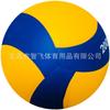 Soft PVC/PU Glued Volleyball School PE Exams Training Competition 5 Inch Size