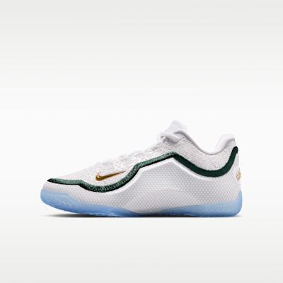 Nike LeBron 23 From This Point Forward (GS) 36