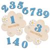 Zweiseitige Baby-Monatsmeilensteinkarten 3D-Blumen Neugeborenen-Fotografie-Requisiten Mädchen Jungen