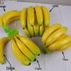 Simulated Banana and Plantain Fruit Toy Model Prop