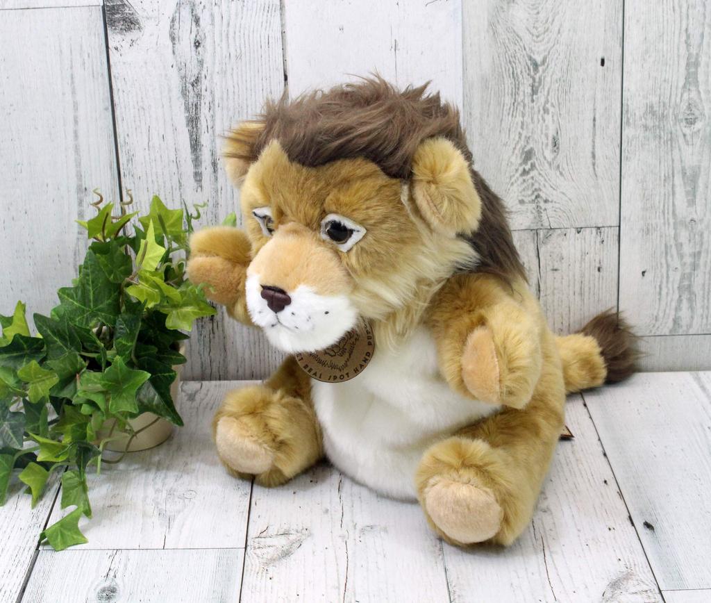Real Spot Lion
