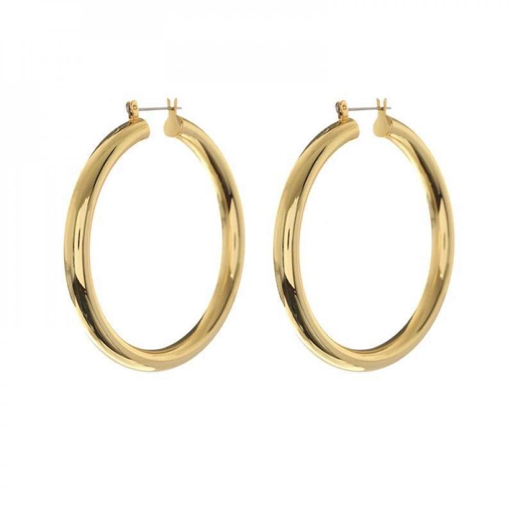 Hoop Earrings for Women, Ins Trendy European Style Niche Design Elegant High Grade Fashion Jewelry