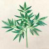 Artificial Bamboo Leaves and Branches for Landscape Decoration - Small Plastic Green Foliage