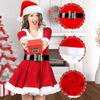 Christmas Adult Women's Dresses Christmas Dresses Holiday Dresses Santa Claus Performance Dresses New Party Dresses