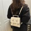 Schoolbag Foreign Style Personality Simple Fashion Backpack Autumn and Winter New Bag 1011 Trend Casual Women Niche Backpack
