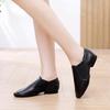 Genuine Leather Jazz and Ballet Dance Shoes with Soft Sole for Girls and Adults