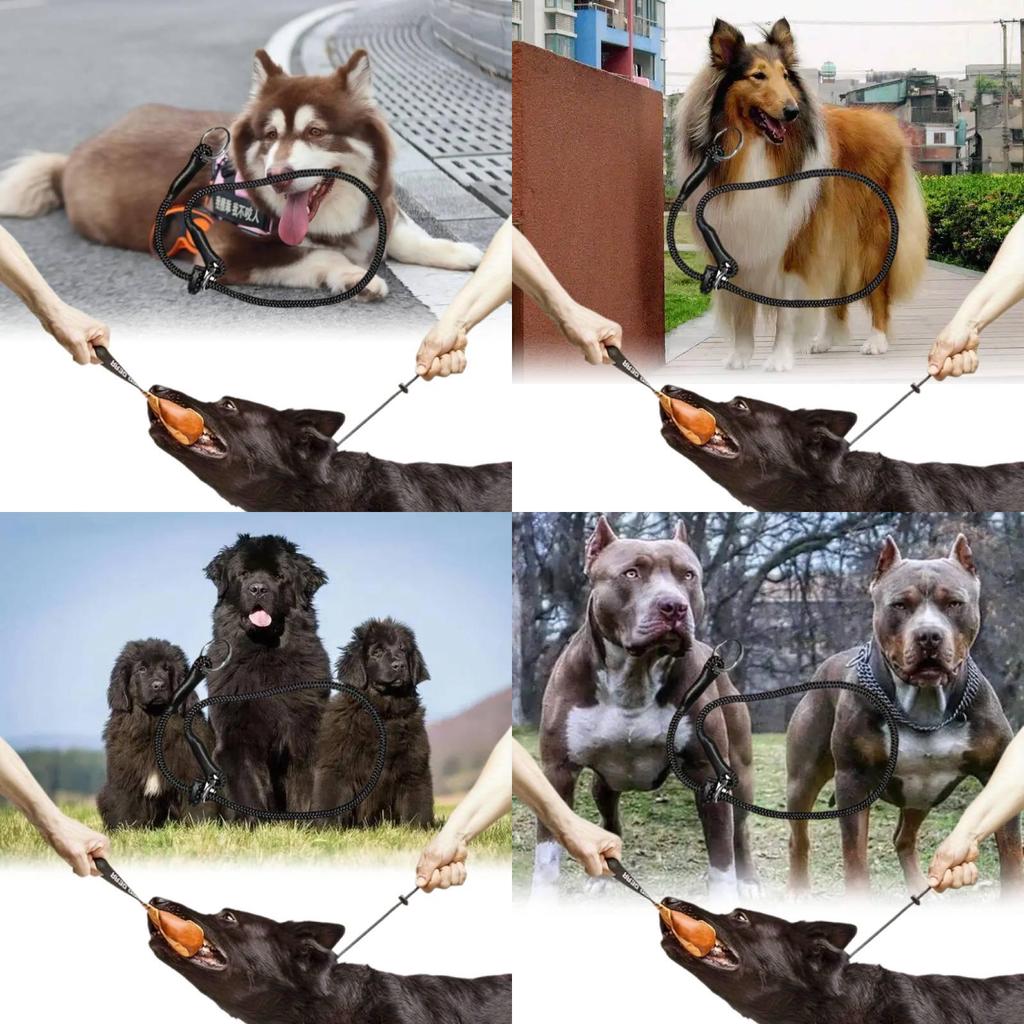 Durable And Comfortable Pet Training Choke Rope For Large Dogs Black Nylon Design