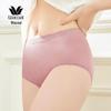 Wacoal WP5412 Seamless High-Waist Cotton Briefs