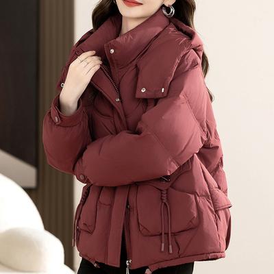 Manteau en coton duvet pour femme Hiver Nouveau Style Court Style Coréen Lâche à Capuche Épais Veste en Coton