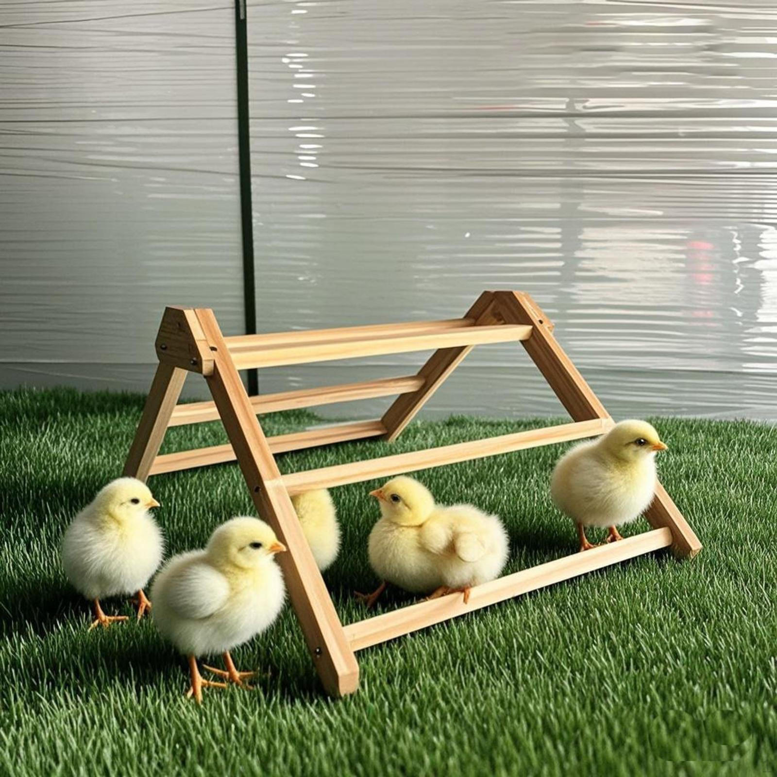 

Chicken Roosting Perch for Backyard Poultry Outside Toy Coop Supplies Wooden Stand Gym