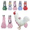 Chicken & Waterfowl Diapers: Khaki Pet Bird Apparel & Cleaning Supplies