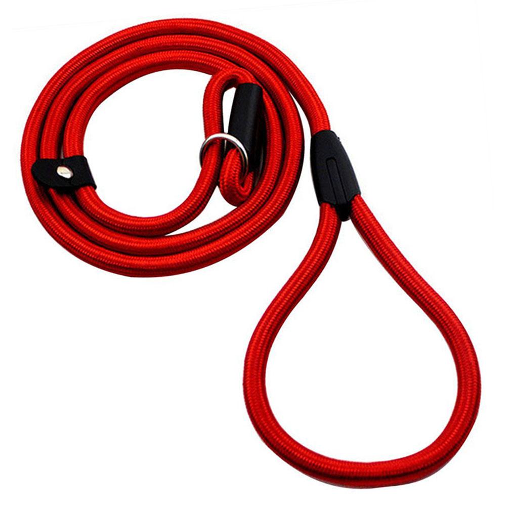 Slip Lead Dog Leash for Puppy Pet Small Dogs Training and Walking Nylon Rope Leash Anti-Choking P-sharped Dog Slip Chains Collar