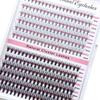 HOLLYLASH 240/640 Clusters 30D-100D False Eyelashes Natural&Thick & Fluffy 8-16mm Mix Length DIY At Home Cluster Eyelash Makeup