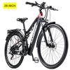 RANDRIDE YG90B-29 Urban electric bicycles 1000W motor 48V 17Ah battery 29-inch tires hydraulic brakes.