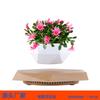 Magnetic Levitation Potted Plant: Creative Bonsai Handicraft Gift and Stylish Ornament