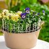1PC Small Planter Railing for Indoor/Outdoor Use Handcrafted Wrought Iron Garden Ornament 19x6.5cm