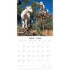 Red Robin 2026 Goats in Trees Monthly Wall Calendar | 12" x 24" Open | Premium Thick & Sturdy Paper | Hangable 12 Month Calendar | Lined Notes & To