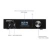 Aiyima D03 Power Amplifier