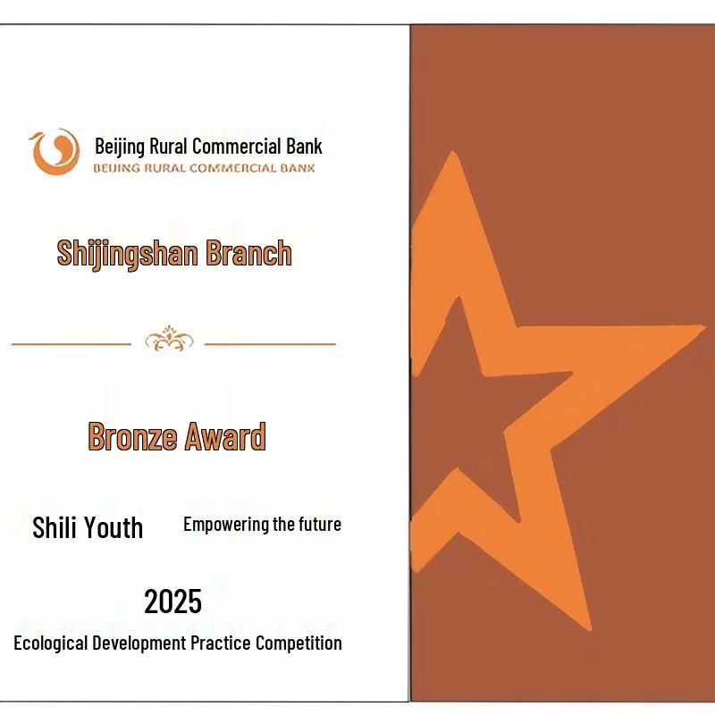 Bronze Crystal Star Award Trophy