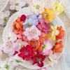 20/50PCS Small Peach Blossom Artificial Flowers Home Room Table Decor Wreath Wedding Bridal Diy Accessories Headwear Brooch Gift