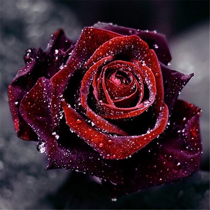 Huacan DIY 5D-Diamantgemälde, Blumen, Teilbohrer, Kreuzstich, Handarbeiten, Basteln