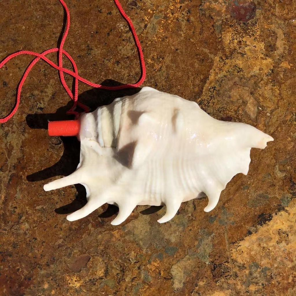 Street Stall Conch Shell Whistles & Toys: Creative Souvenirs