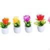 Miniature Bonsai Plant Set for Dollhouse Decor