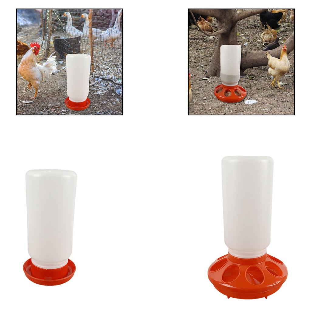Plastic Poultry Feeder Drinker Detachable Easy Fill Waterer Farm Animal Feeding Tools for Chickens Quails Backyard
