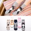 Korea Cartoon Cute Cat Socks Women Cotton Casual Skateboard Style Socks Spring Summer Gift