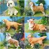 Plastic Adorable Lifelike Dog Models In A Variety Of Breeds Like Corgi Golden Retriever Teddy And