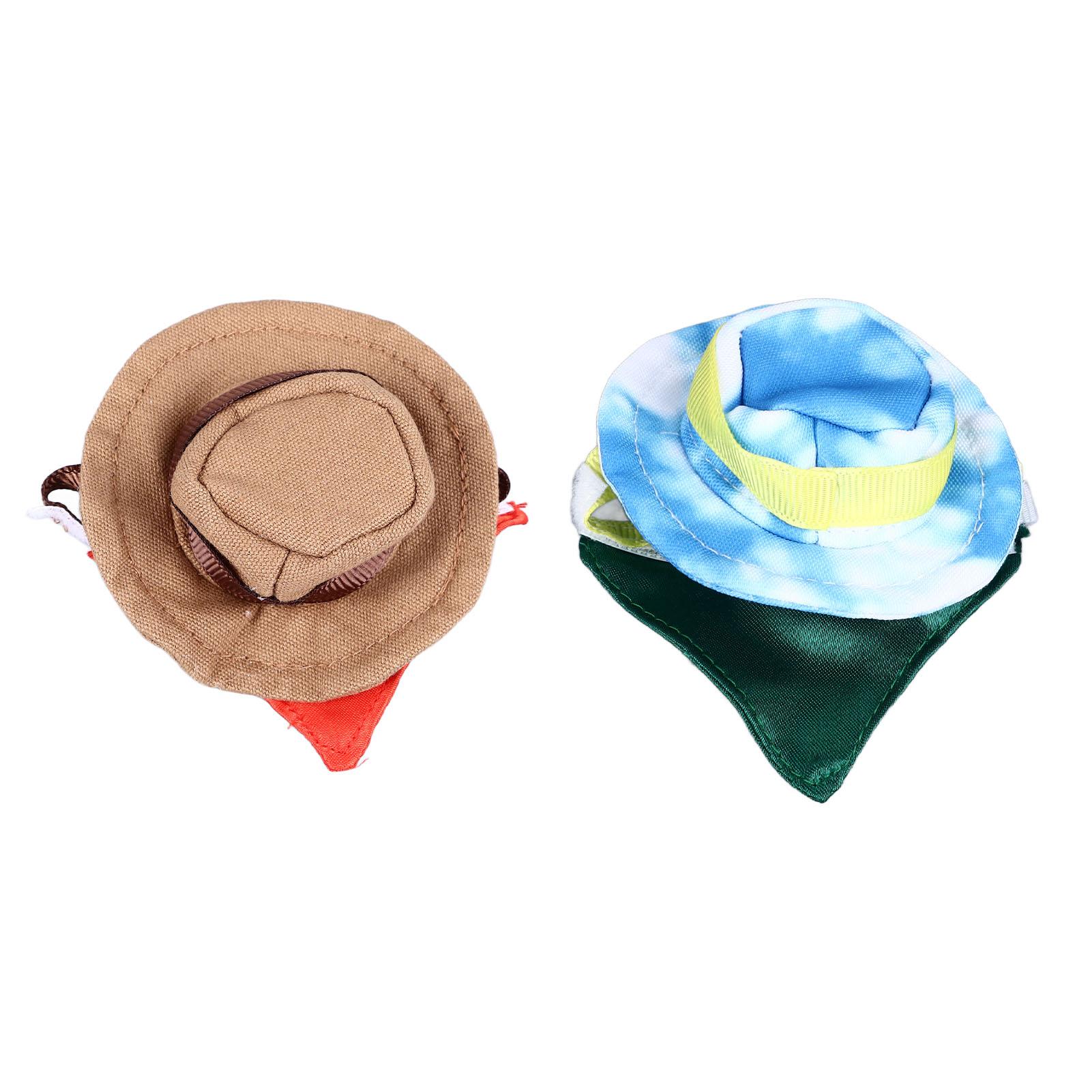 Костюм рептилии на Хэллоуин в виде ковбойской шляпы и банданы с бородатым драконом — фото 3