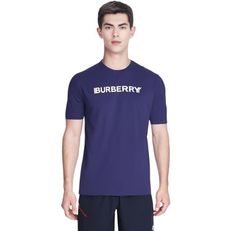Burberry T Shirts Men's Blue Crew Neck Moderate 80530131