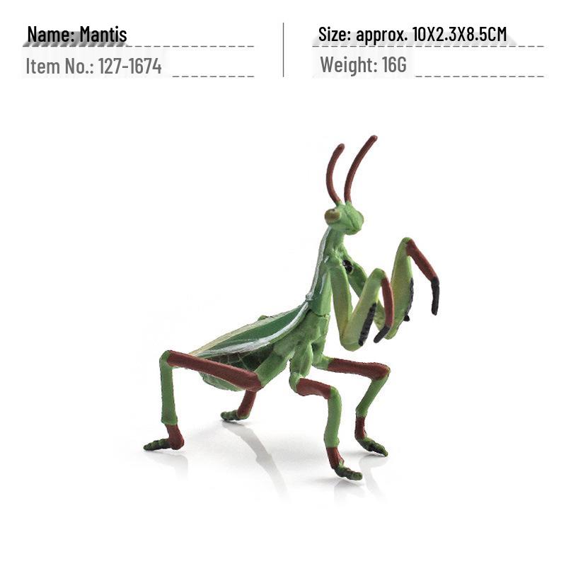 Wild Insect Model Toys: Poisonous Spider, Caterpillar, Butterfly, Mantis, Grasshopper, Dragonfly, Wasp Ornaments
