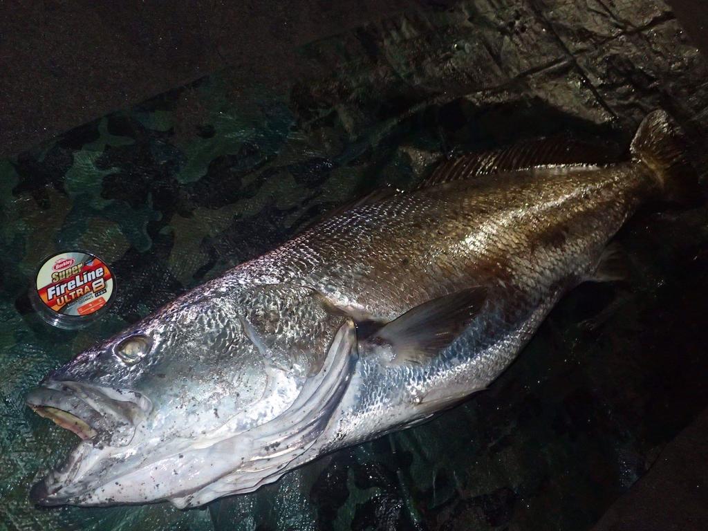 Berkley Super Fire Line Ultra 8 2.0/30lb 150m Crystal PE Line/Super Line/Sea Bass Line