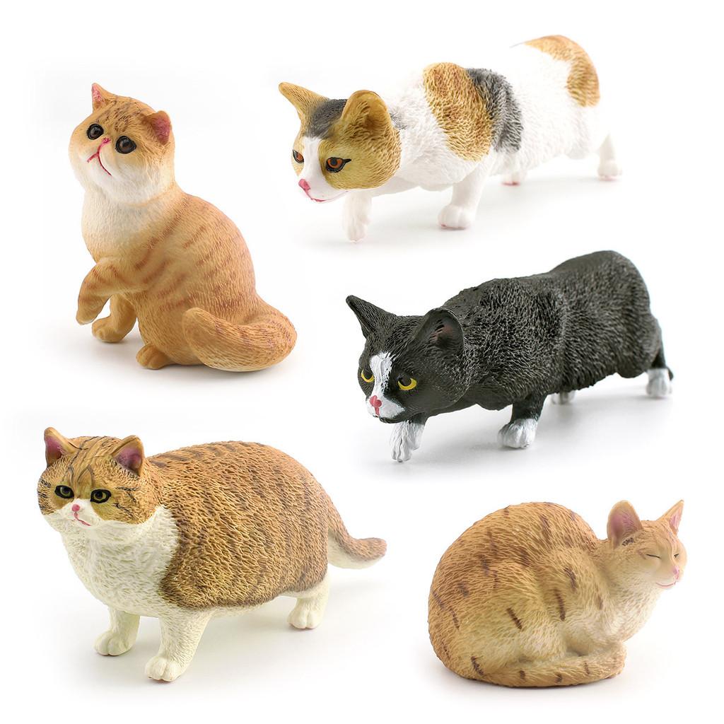 Childrens Pvc Realistic Cat Animal Model Toy For Educational Play And Collecting