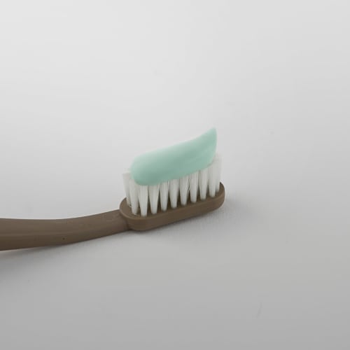 ProFresh Toothpaste 110g