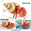 Underwater Hermit Crab Toy - Marine Life Model for Children's Cognitive Play