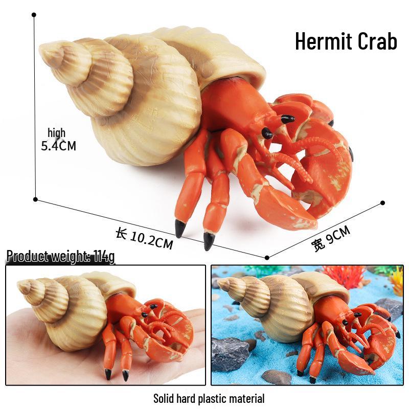 Underwater Hermit Crab Toy - Marine Life Model for Children's Cognitive Play