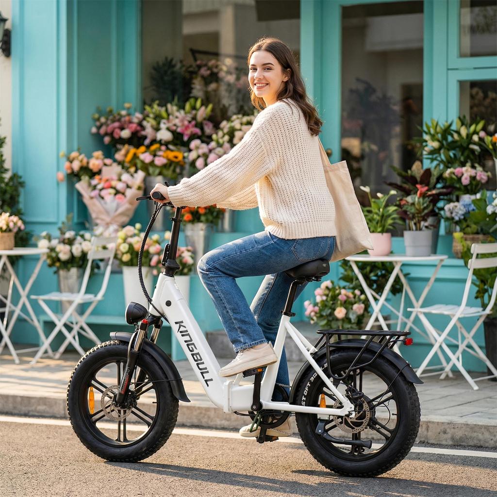MAISJ Literider 2.0 45KM/H Elektrofahrrad 48V13.5Ah 500W Stadttauglich mit LCD 20*4.0" Reifen Elektrofahrrad Faltbar Leichtgewicht EBike