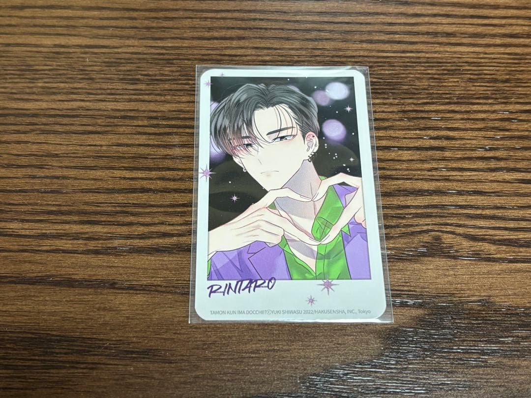 [USED] Kai Rintaro Korea Volume 6 Bonus: Tamon-kun, Which One Are You Now!? Photo Card