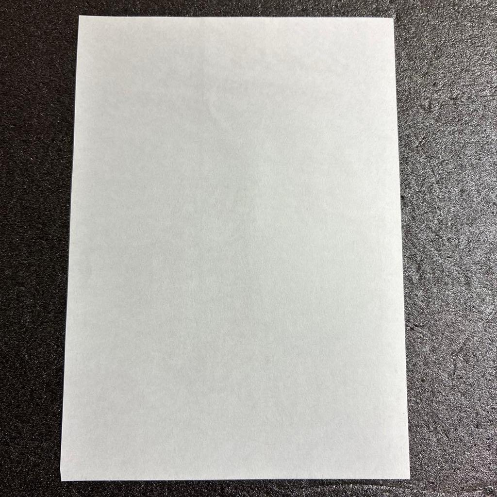 [USED] Inu X Boku SS Volume 4 Purchase Bonus: Aokiin Tonbo Illustration Paper