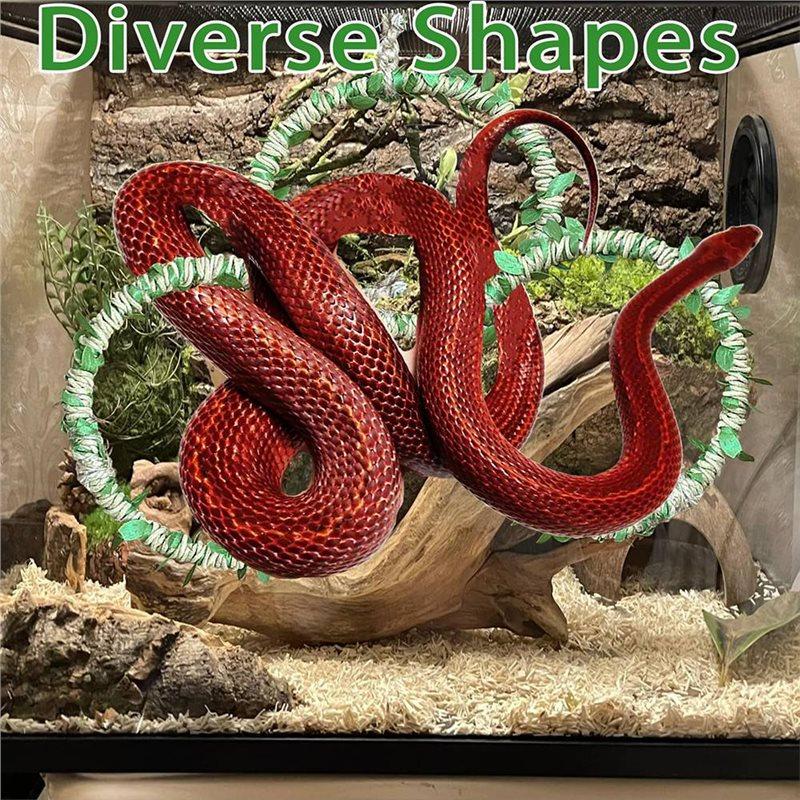 ABBP-Snake Climbing Rings, Ball Python Tank Accessories,Reptile Enclosure For Corn Snakes, Iguana, Bearded Dragon, Gecko