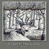 A Spell In The Woods by Stella Wulf Paperback Book 9781911048503