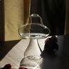 Mushroom Style Hydroponics Plant Vase DIY Transparent Glass Vase  Home Decor