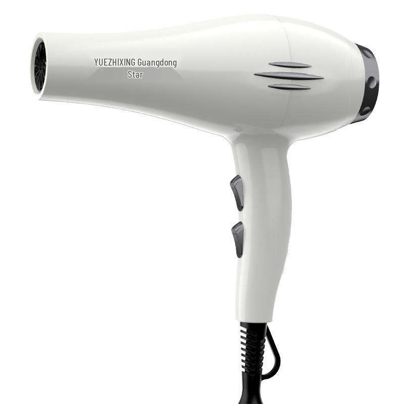 High-Power Hair Salon Dryer for Homes