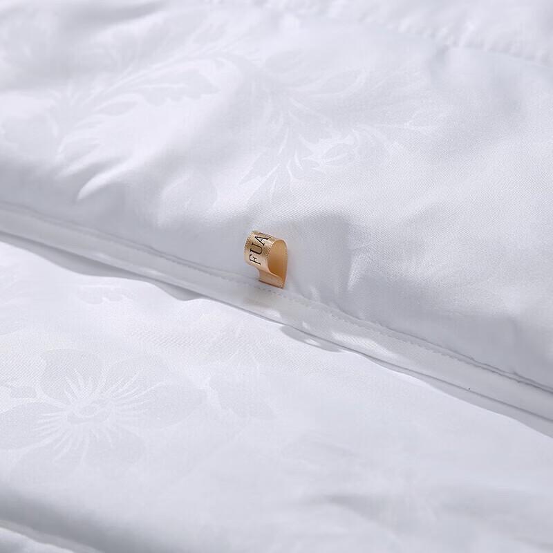 FUANNA Zhenya Warm Core Silk Winter Quilt