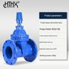 Underground Concealed Stem Gate Valve MZ45X-16Q, Direct Burial Type, Ductile Iron, Flanged.