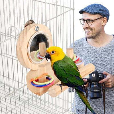 Stojan na ptáky Hřadovka se zrcadlem Stohovací kroužky Inteligence Trénink Puzzle Hračky Žvýkací hračky pro papoušky