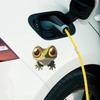 Big-Eyed Funny Frog Car Window Sticker Glass Decor Removable Waterproof Decal